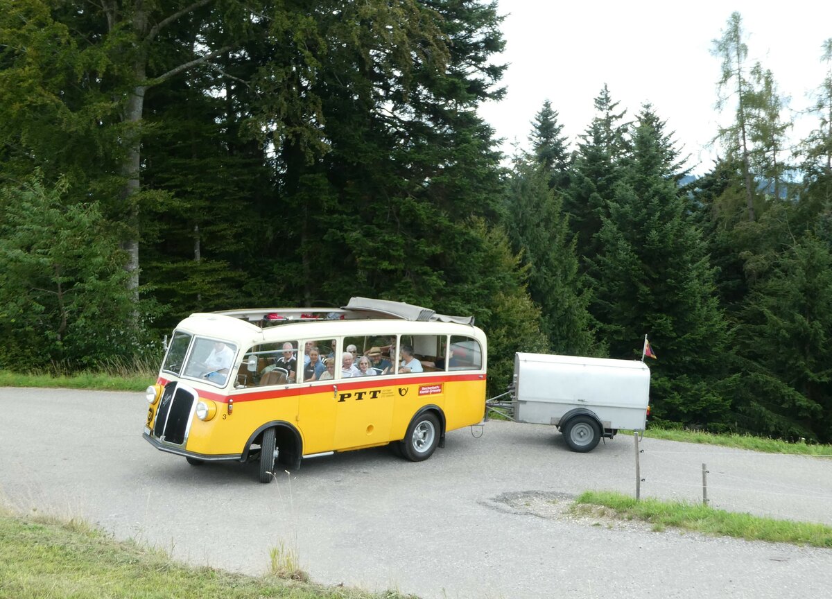 (253'564) - Schmid, Th�rishaus - Nr. 3/BE 26'760 - Saurer/Gangloff (ex Geiger, Adelboden Nr. 3) am 9. August 2023 in Bigenthal, Hellweid