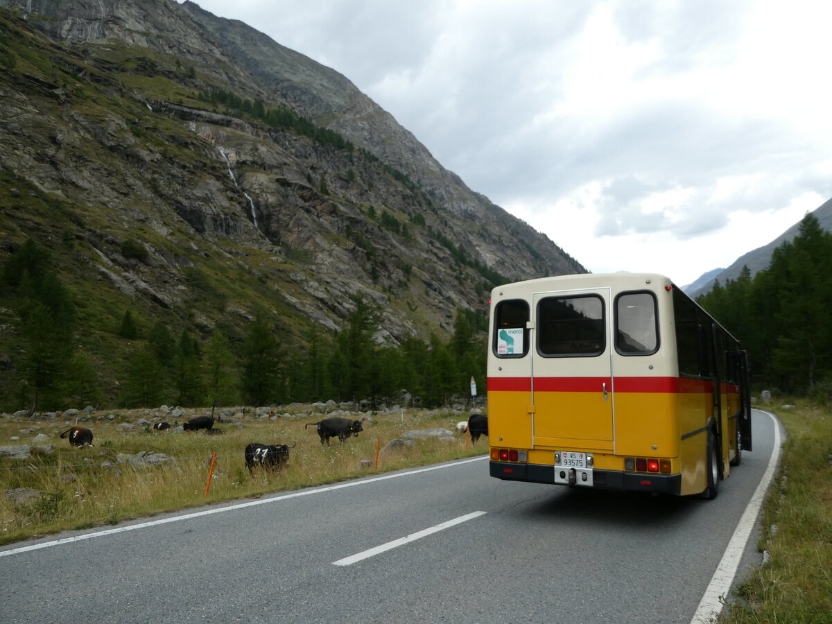 (253'867) - Oser, B�rchen - VS 93'575 - NAW/Lauber (ex Epiney, Ayer PID 1076) am 15. August 2023 bei Saas-Almagell