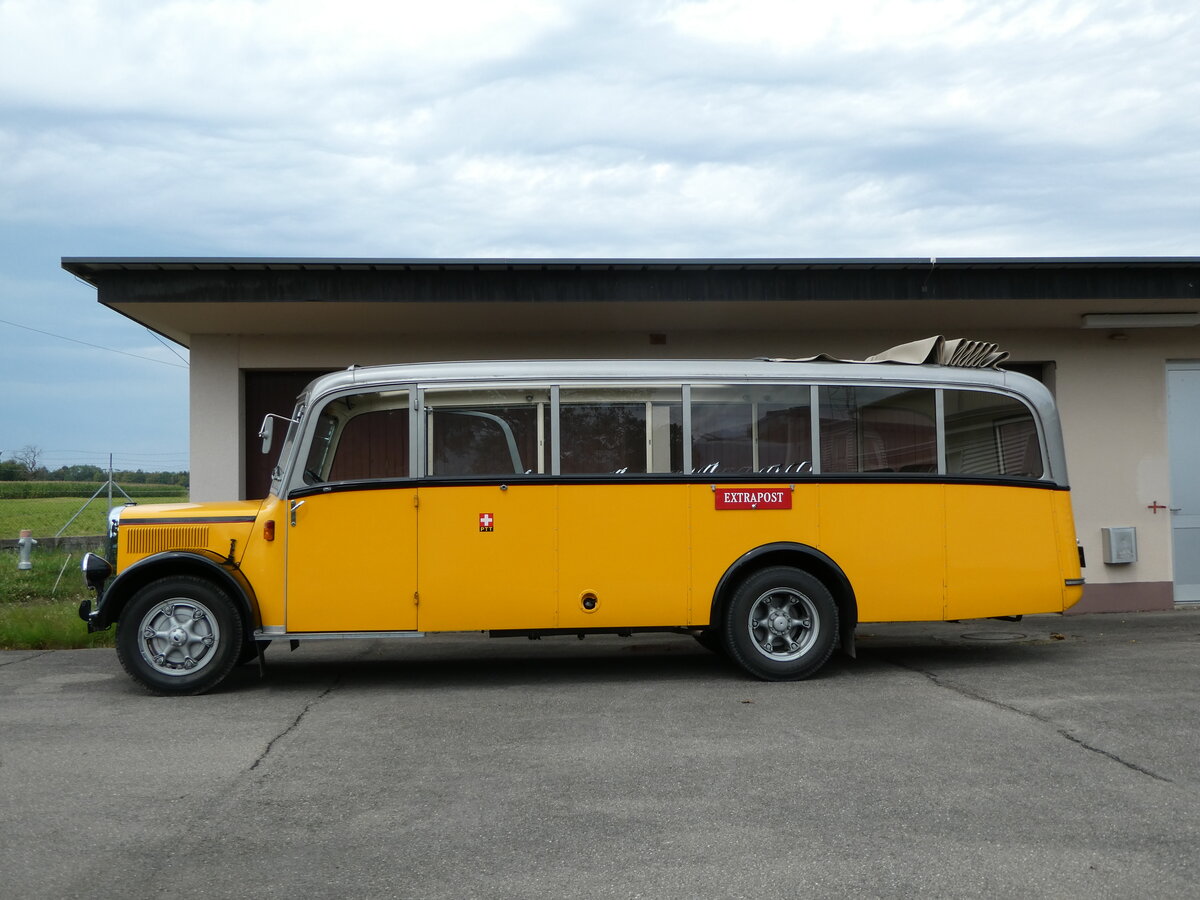 (254'197) - Museum f�r Kommunikation, Bern - BE 384'448 - Berna/Hess (ex P 22'026; ex P 1655) am 25. Aufust 2023 in Mamishaus, Depot MfK