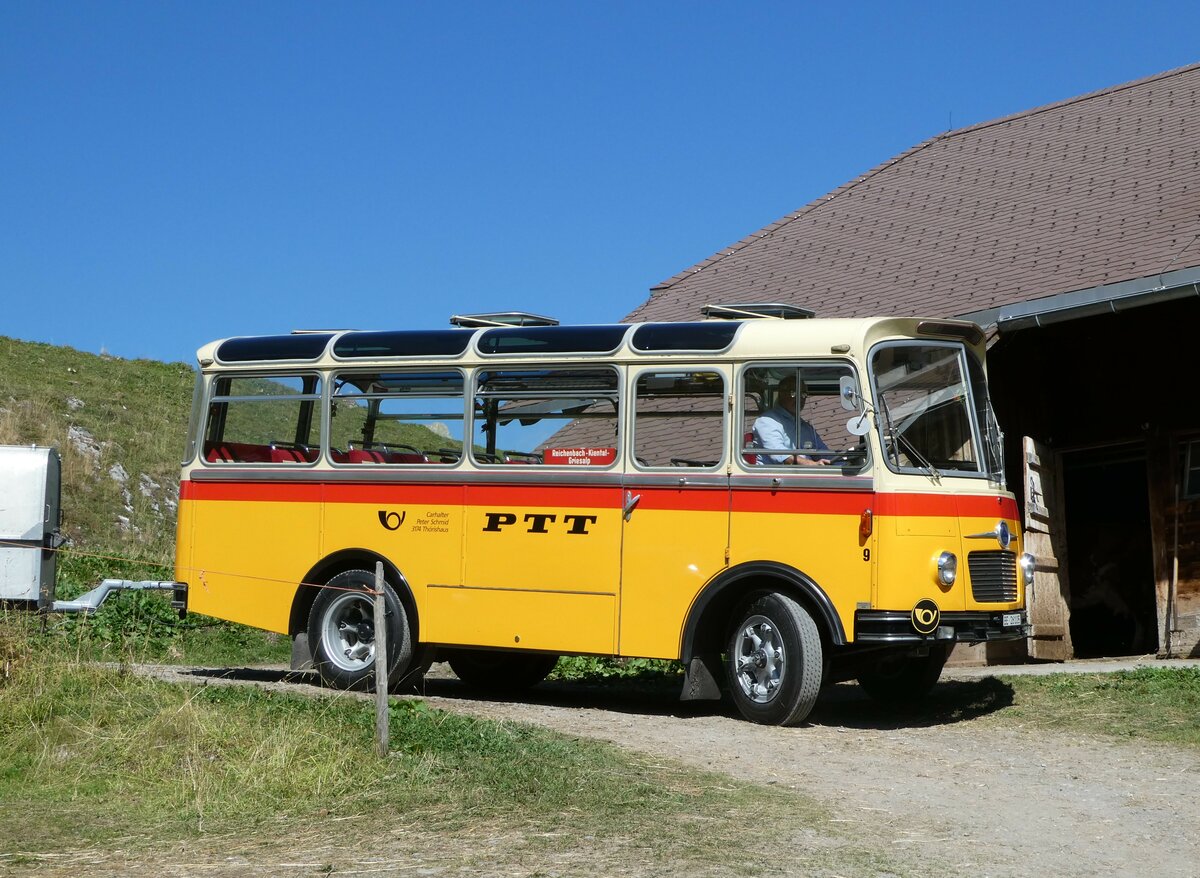 (255'073) - Schmid, Th�rishaus - Nr. 9/BE 26'105 - Saurer/R&J (ex Geiger, Adelboden Nr. 9) am 10. September 2023 auf der Bundalp