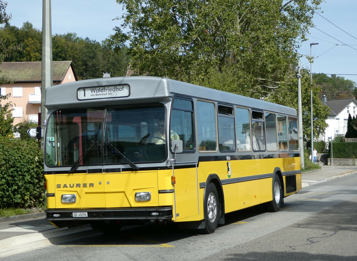 (255'286) - Wanner, Schleitheim - SH 48'096 - Saurer/Hess (ex Ruklic, Schaffhausen; ex VBSH Schaffhausen Nr. 40; ex VBSH Schaffhausen Nr. 19) am 17. September 2023 in Neuhausen, Herbst�cker