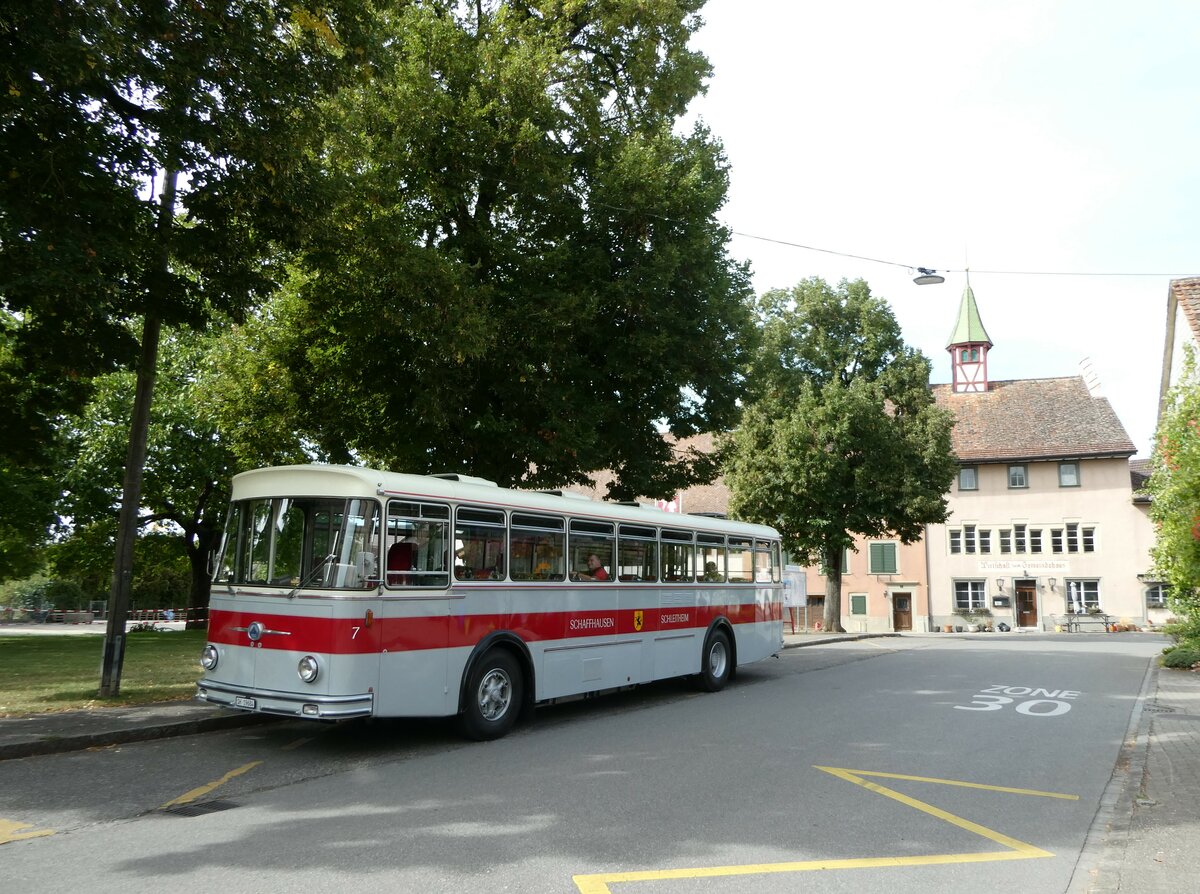 (255'374) - Borer, Neuhausen - Nr. 7/SH 19'684 - Saurer/T�scher (ex Heiniger, B�tzberg; ex ASS Schleitheim Nr. 22; ex ASS Schleitheim Nr. 7) am 17. September 2023 in G�chlingen, Dorf
