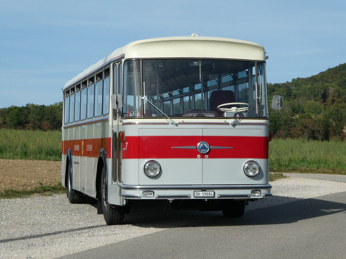 (255'391) - Borer, Neuhausen - Nr. 7/SH 19'684 - Saurer/T�scher (ex Heiniger, B�tzberg; ex ASS Schleitheim Nr. 22; ex ASS Schleitheim Nr. 7) am 17. September 2023 in Siblingen, Siblinger H�he