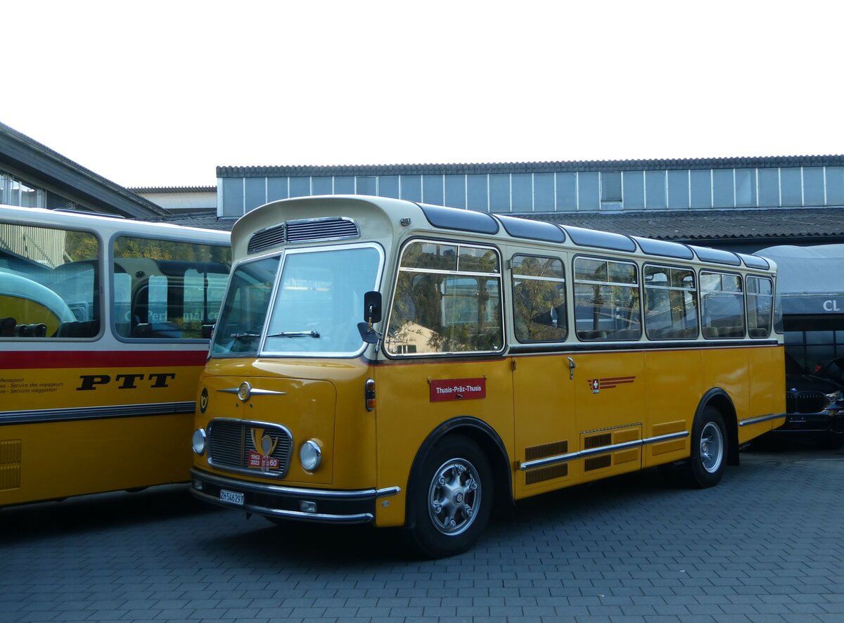 (255'902) - R�ber, Mettmenstetten - ZH 546'297 - FBW/Gangloff (ex P 23'202; ex P 21'002) am 7. Oktober 2023 in N�fels, FBW-Museum