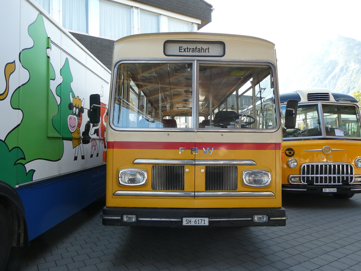 (255'960) - Sch�pfer, Hemmental - SH 6171 - FBW/FHS (ex Ruch, Schaffhausen; ex Niederer, Grub; ex Baumgartner, Horn; ex Bucheli, Kriens Nr. 9; ex Bucheli, Kriens Nr. 16) am 7. Oktober 2023 in N�fels, FBW-Museum