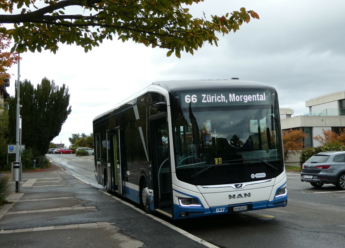 (256'264) - VBZ Z�rich - Nr. 637/ZH 965'637 - MAN am 21. Oktober 2023 in Kilchberg, Kirche