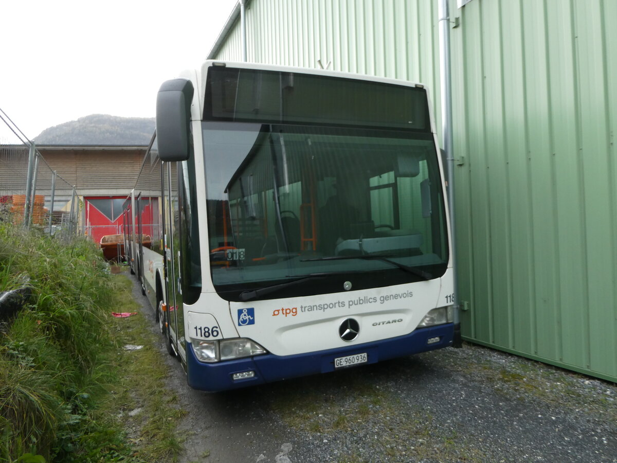 (257'048) - TPG Gen�ve - Nr. 1186/GE 960'936 - Mercedes am 16. November 2023 in Leytron, Garage Buchard