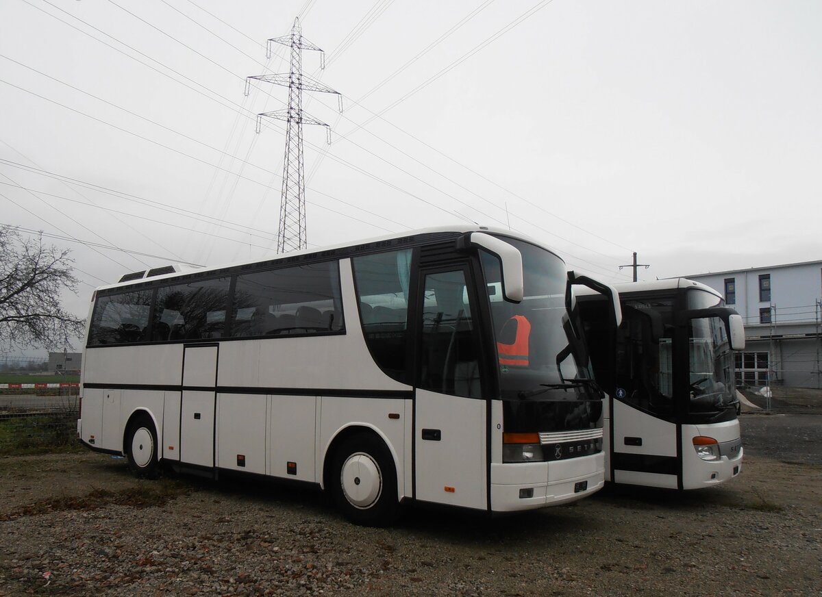 (257'512) - Edelline, Liebefeld - Nr. 40 - Setra am 9. Dezember 2023 in Kerzers, Murtenstrasse