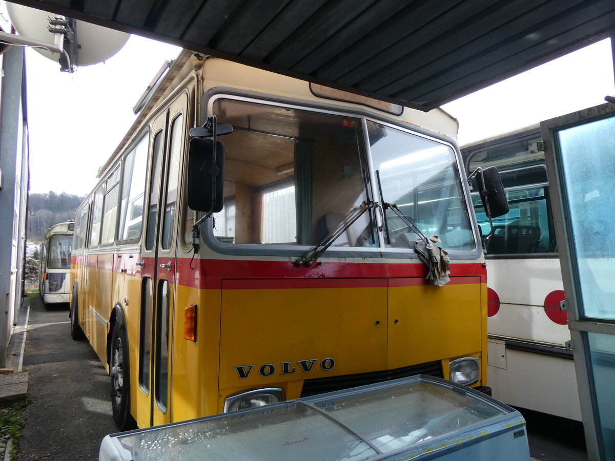 (259'896) - Strasser, Aadorf (R�trobus) - Volvo/R&J (ex Moser, Flaach Nr. 4) am 2. M�rz 2024 in Faoug, MS Carrosserie (Teilaufnahme)