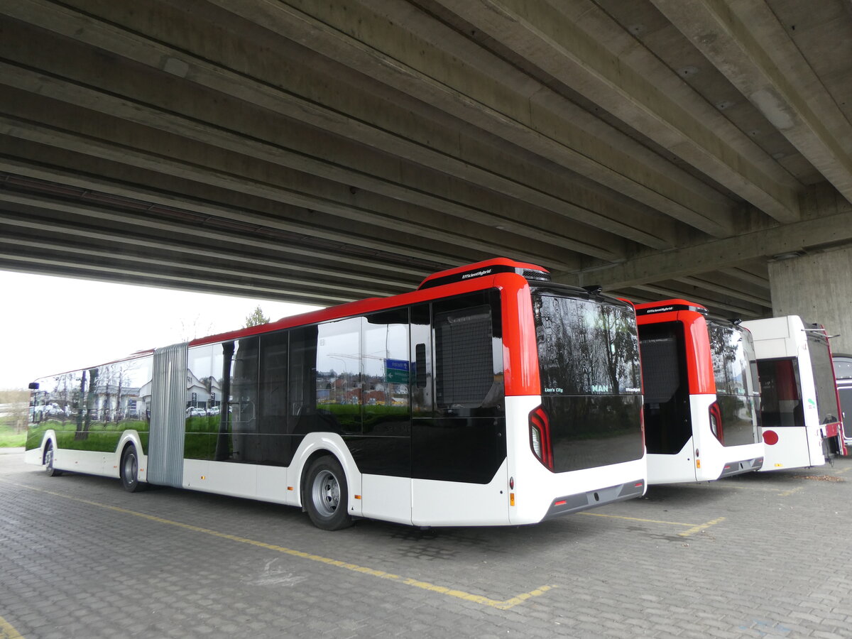 (260'420) - Twerenbold, Baden - Nr. 315 - MAN am 17. M�rz 2024 in Kerzers, Murtenstrasse