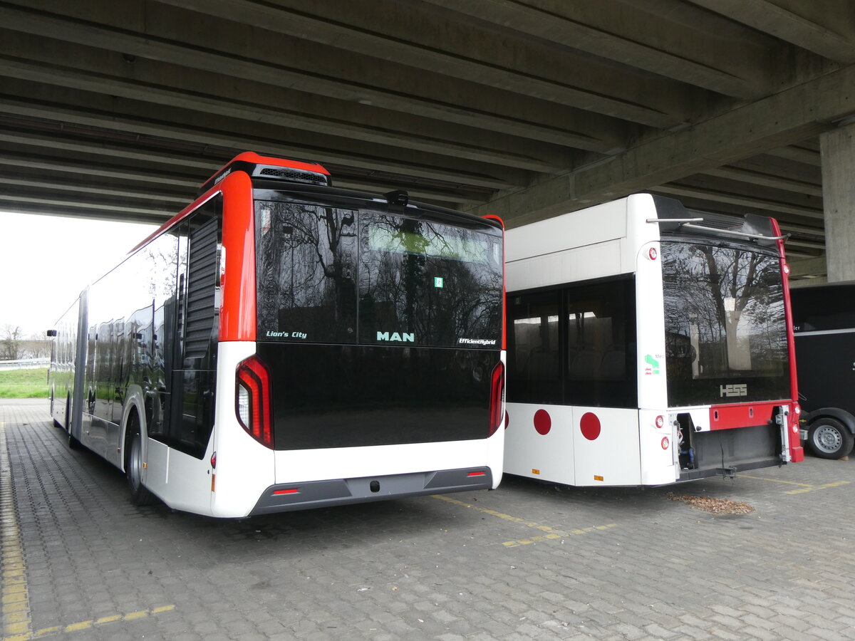 (260'421) - Twerenbold, Baden - Nr. 316 - MAN am 17. M�rz 2024 in Kerzers, Murtenstrasse