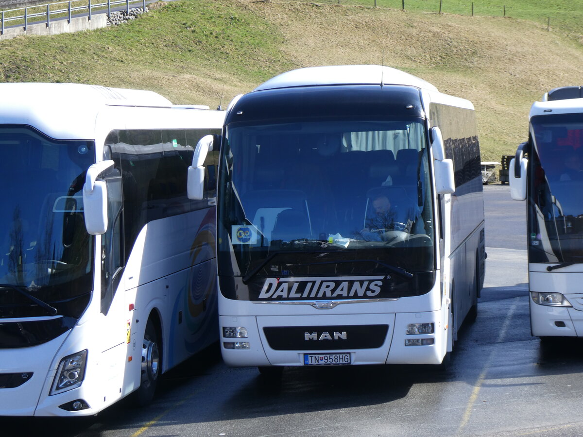(260'482) - Aus der Slowakei: DALITRANS, Vel'k� Bierovce - TN-958HG - MAN am 19. M�rz 2024 in Grindelwald, Grund