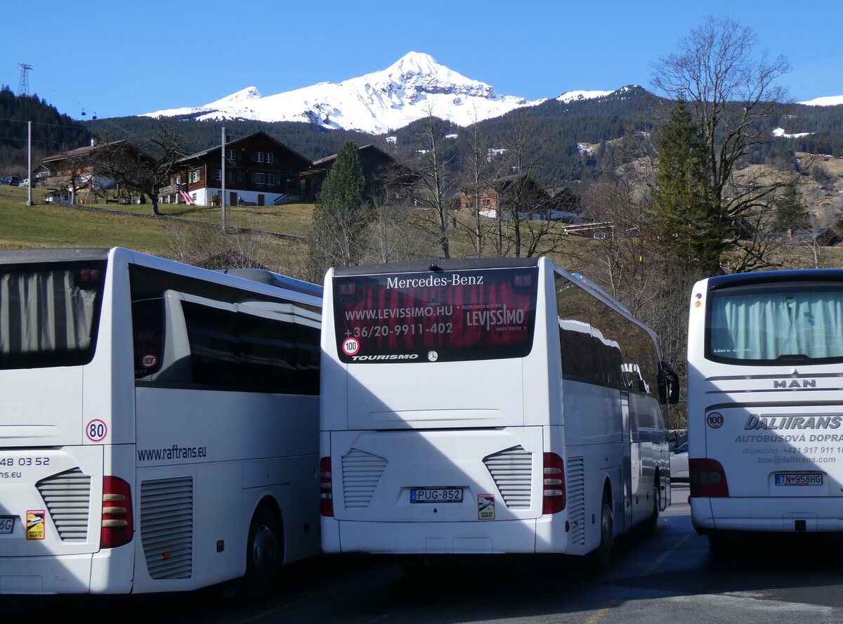 (260'495) - Aus Ungarn: Levissimo, Budapest - PUG-852 - Mercedes am 19. M�rz 2024 in Grindelwald, Grund