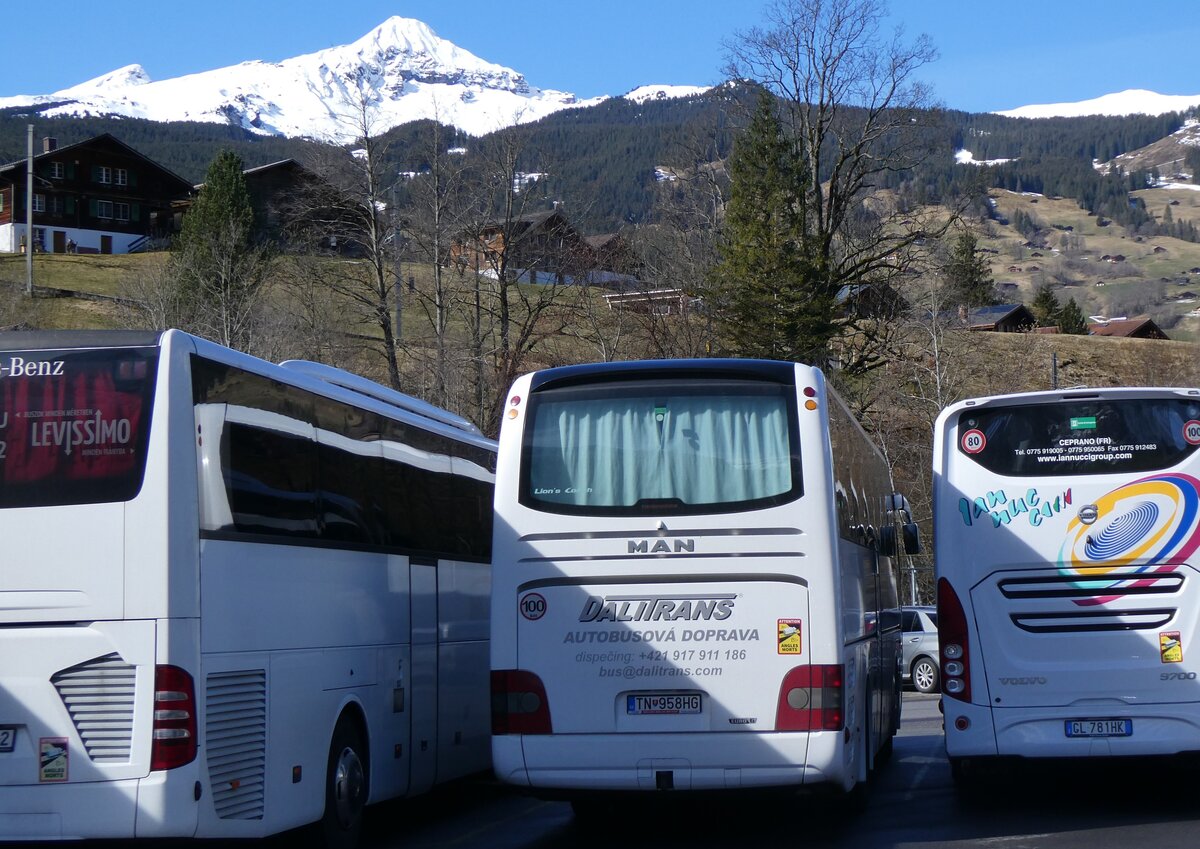 (260'496) - Aus der Slowakei: TALITRANS, Vel'k� Bierovce - TN-958HG - MAN am 19. M�rz 2024 in Grindelwald, Grund