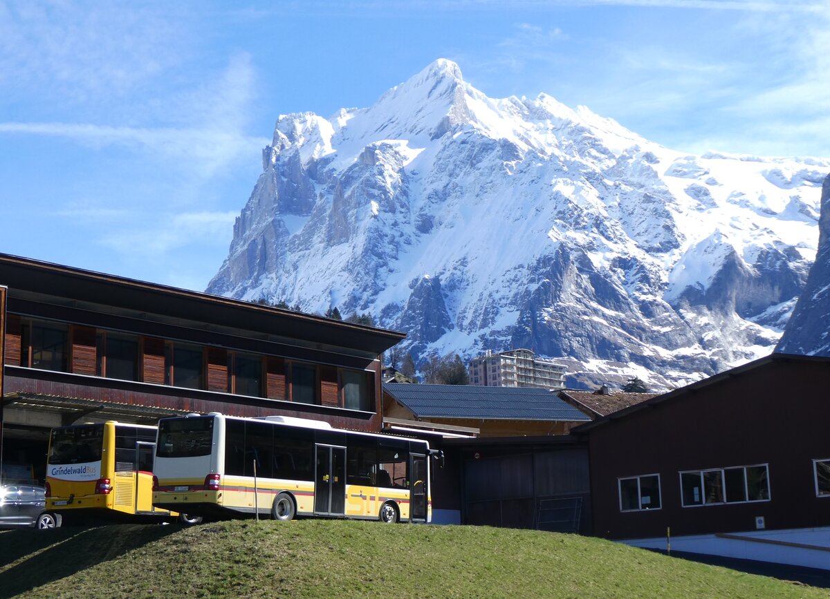 (260'499) - GrindelwaldBus, Grindelwald - Nr. 17/BE 72'444 - MAN/G�ppel (ex STI Thun Nr. 133) am 19. M�rz 2024 in Grindelwald, Garage