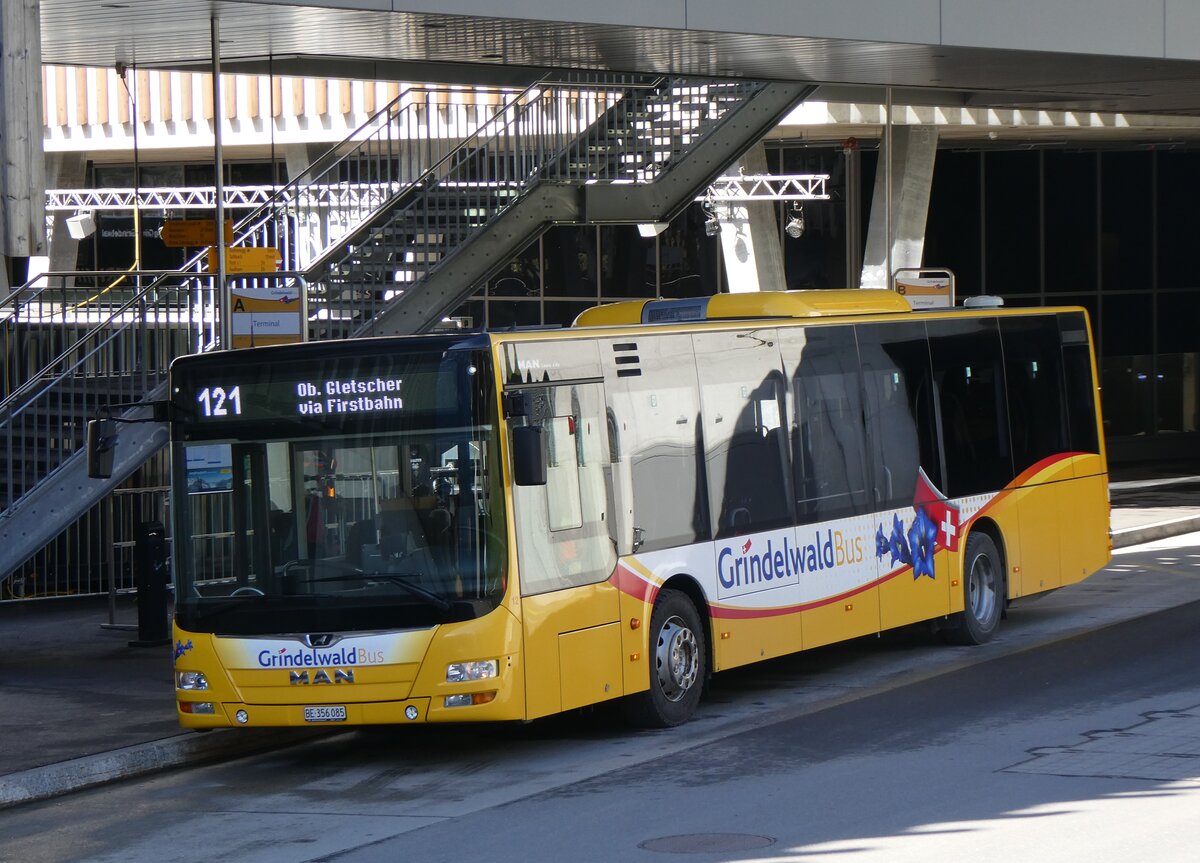 (260'500) - GrindelwaldBus, Grindelwald - Nr. 12/BE 356'085 - MAN am 19. M�rz 2024 in Grindelwald, Terminal
