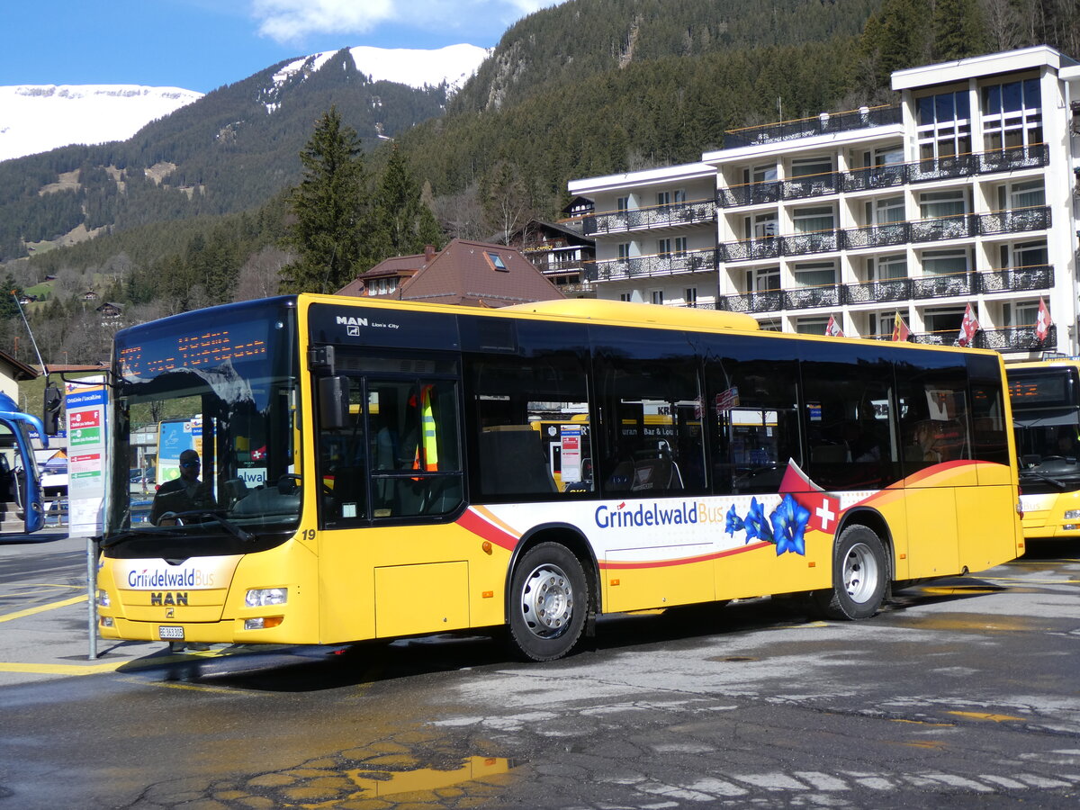 (260'501) - GrindelwaldBus, Grindelwald - Nr. 19/BE 363'305 - MAN/G�ppel am 19. M�rz 2024 beim Bahnhof Grindelwald