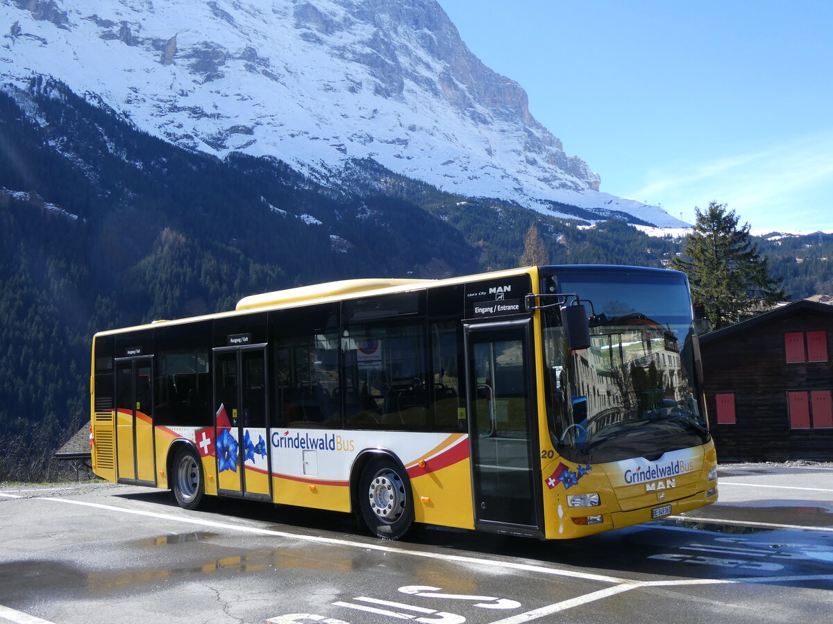 (260'505) - GrindelwaldBus, Grindelwald - Nr. 20/BE 349'361 - MAN/G�ppel am 19. M�rz 2024 beim Bahnhof Grindelwald