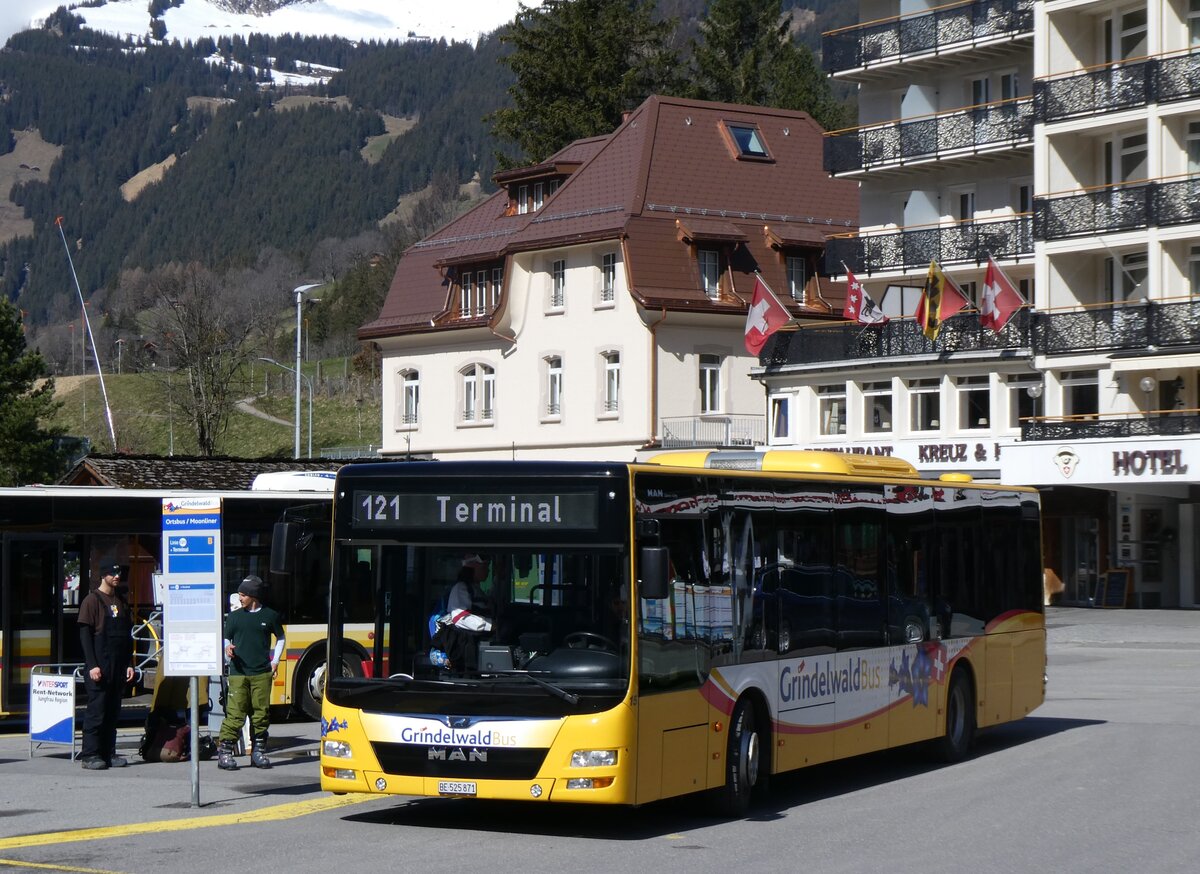 (260'514) - GrindelwaldBus, Grindelwald - Nr. 15/BE 525'871 - MAN am 19. M�rz 2024 beim Bahnhof Grindelwald