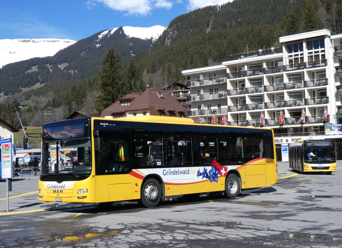 (260'515) - GrindelwaldBus, Grindelwald - Nr. 16/BE 28'821 - MAN am 19. M�rz 2024 beim Bahnhof Grindelwald