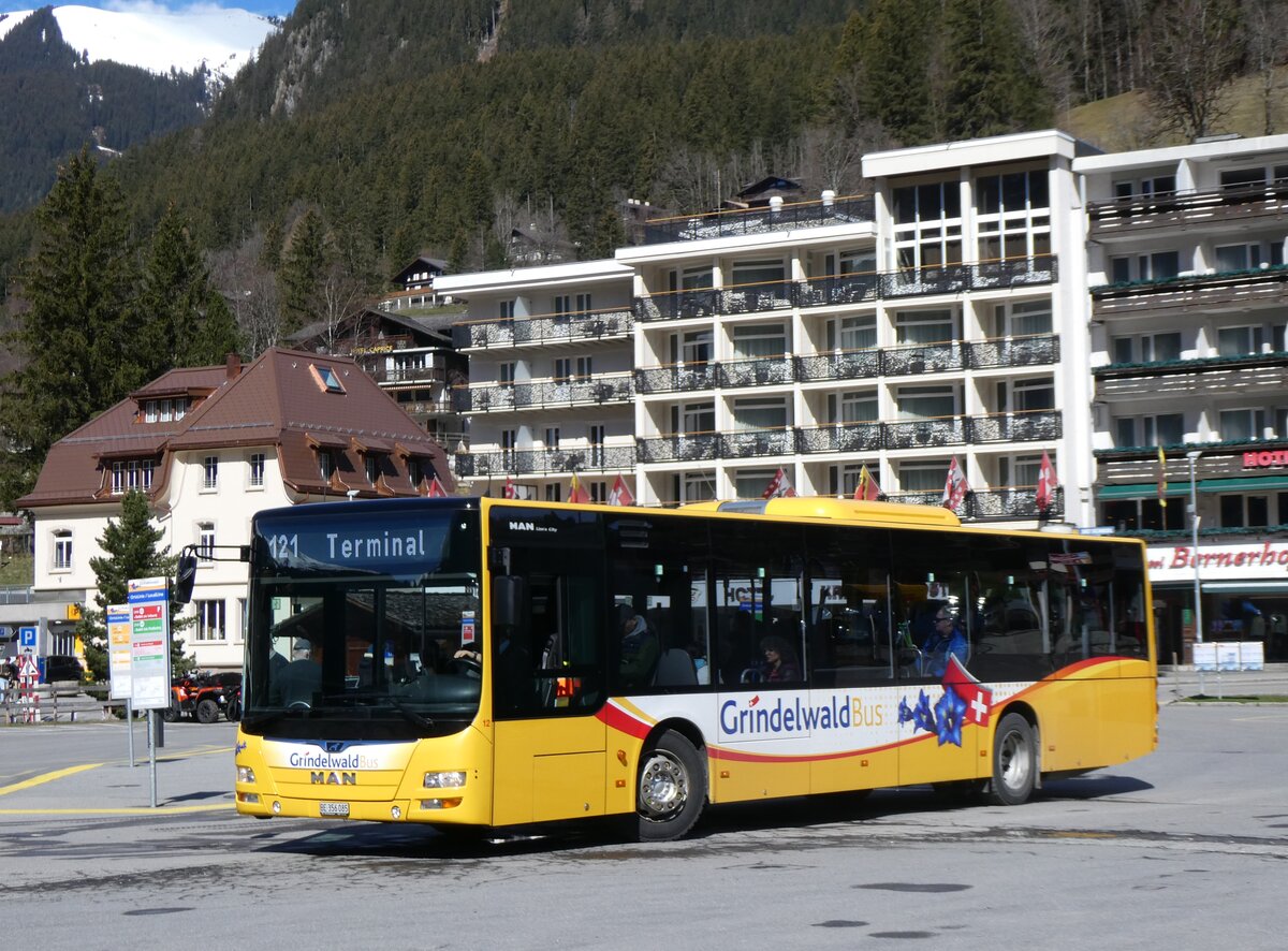 (260'527) - GrindelwaldBus, Grindelwald - Nr. 12/BE 356'085 - MAN am 19. M�rz 2024 beim Bahnhof Grindelwald