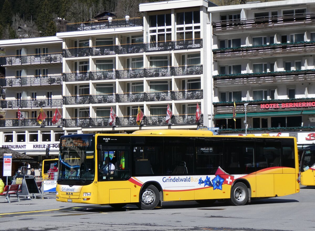 (260'539) - GrindelwaldBus, Grindelwald - Nr. 19/BE 363'305 - MAN/G�ppel am 19. M�rz 2024 beim Bahnhof Grindelwald