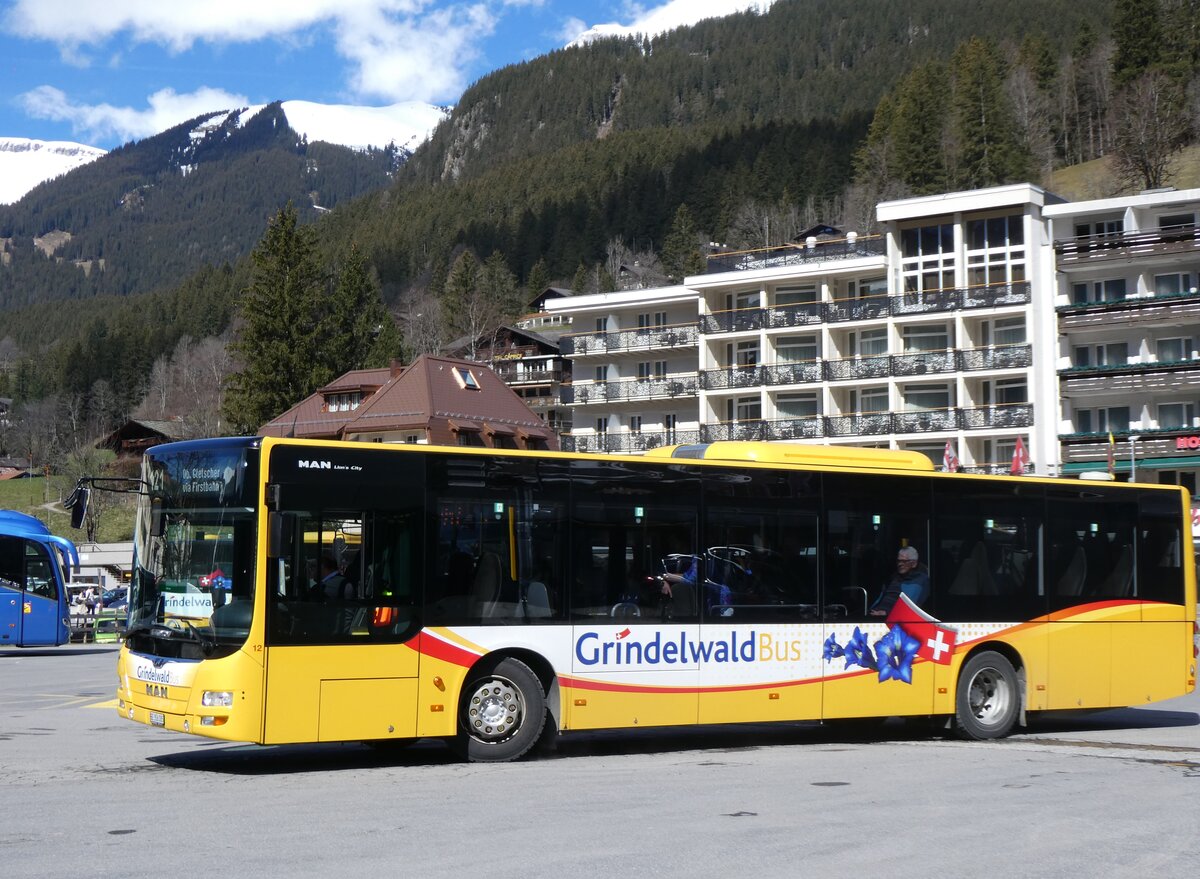 (260'542) - GrindelwaldBus, Grindelwald - Nr. 12/BE 356'085 - MAN am 19. M�rz 2024 beim Bahnhof Grindelwald
