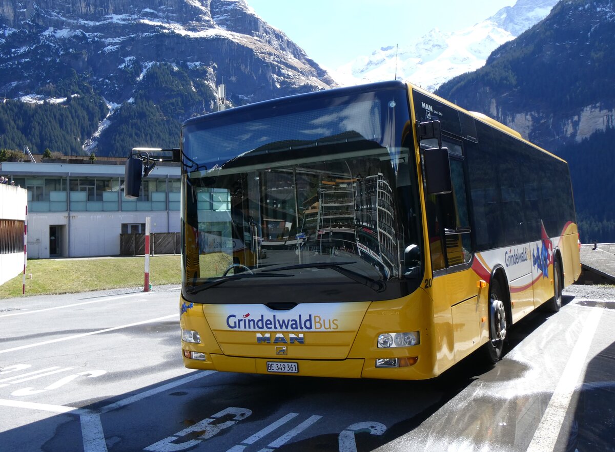 (260'548) - GrindelwaldBus, Grindelwald - Nr. 20/BE 349'361 - MAN/G�ppel am 19. M�rz 2024 beim Bahnhof Grindelwald