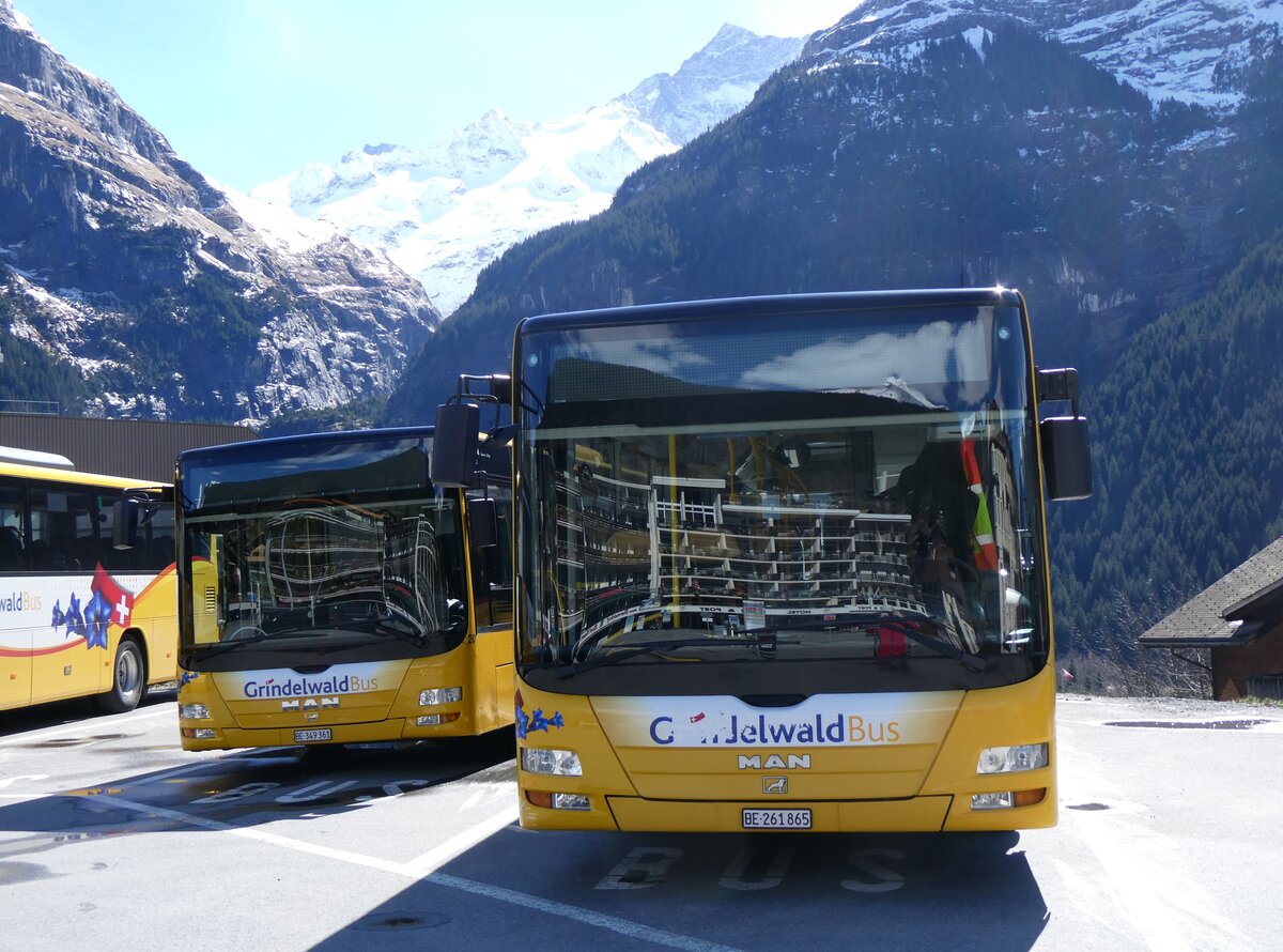 (260'553) - GrindelwaldBus, Grindelwald - Nr. 11/BE 261'865 - MAN/G�ppel am 19. M�rz 2024 beim Bahnhof Grindelwald 