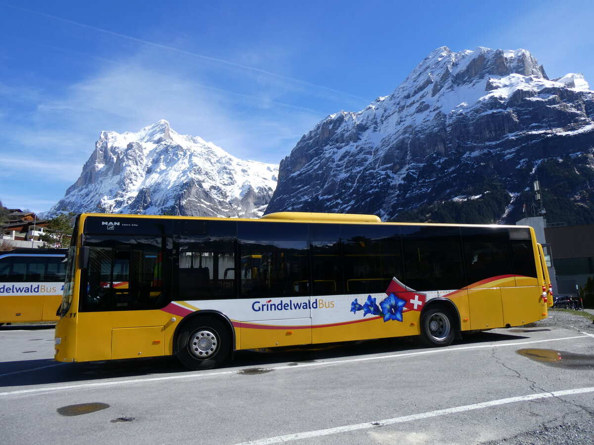 (260'557) - GrindelwaldBus, Grindelwald - Nr. 11/BE 261'865 - MAN/G�ppel am 19. M�rz 2024 beim Bahnhof Grindelwald