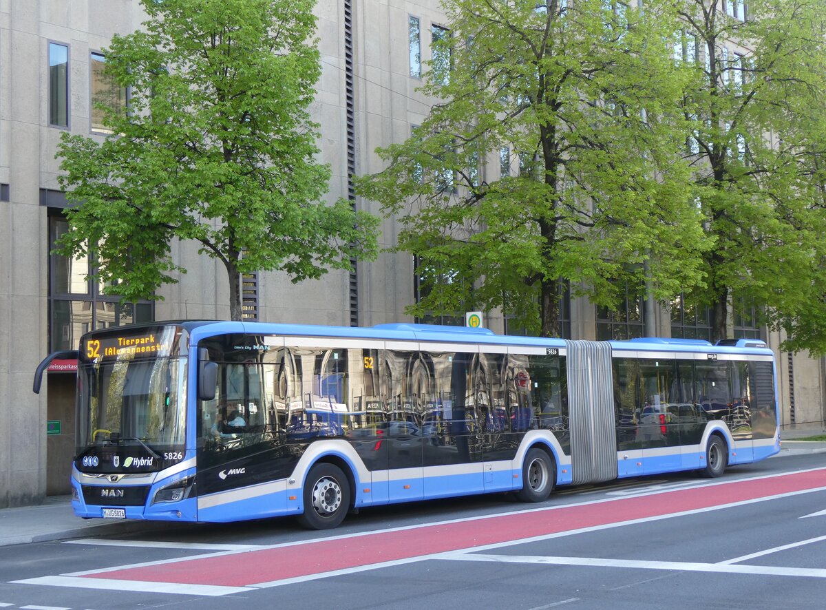 (261'299) - MVG M�nchen - Nr. 5826/M-VG 5826 - MAN am 14. April 2024 in M�nchen, Sendlinger Tor