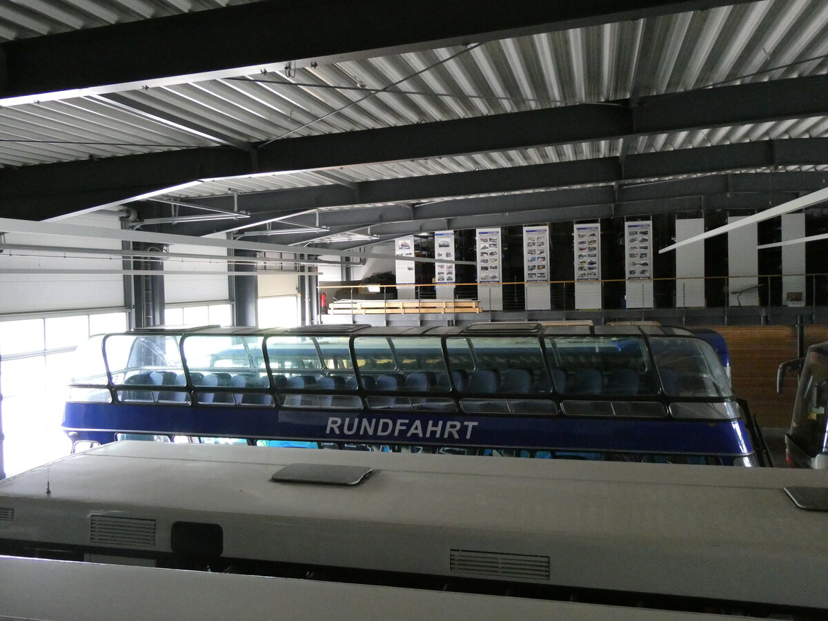 (261'384) - Berolina, Berlin (Auw�rter) - DGF-AU 65H - Neoplan am 14. April 2024 in Pilsting, Auw�rter Automobil-Park (Teilaufnahme)