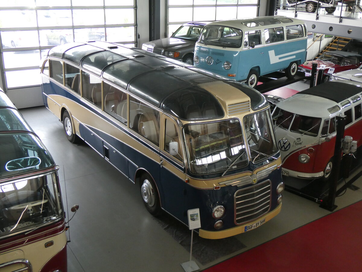 (261'389) - Auw�rter, Pilsting - DGF-BY 56H - Neoplan am 14. April 2024 in Pilsting, Auw�rter Automobil-Park