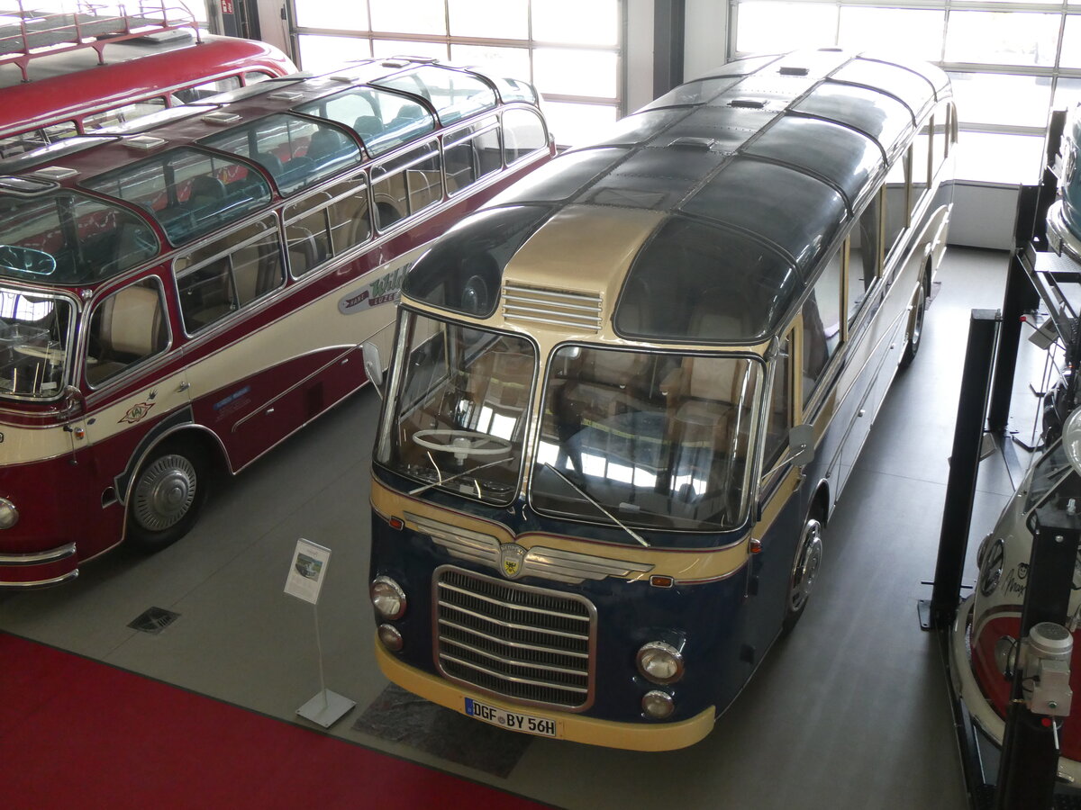 (261'392) - Auw�rter, Pilsting - DGF-BY 56H - Neoplan am 14. April 2024 in Pilsting, Auw�rter Automobil-Park