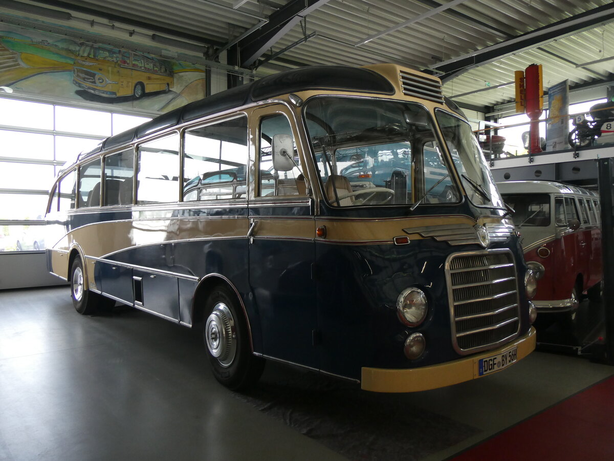 (261'412) - Auw�rter, Pilsting - DGF-BY 56H - Neoplan am 14. April 2024 in Pilsting, Auw�rter Automobil-Park