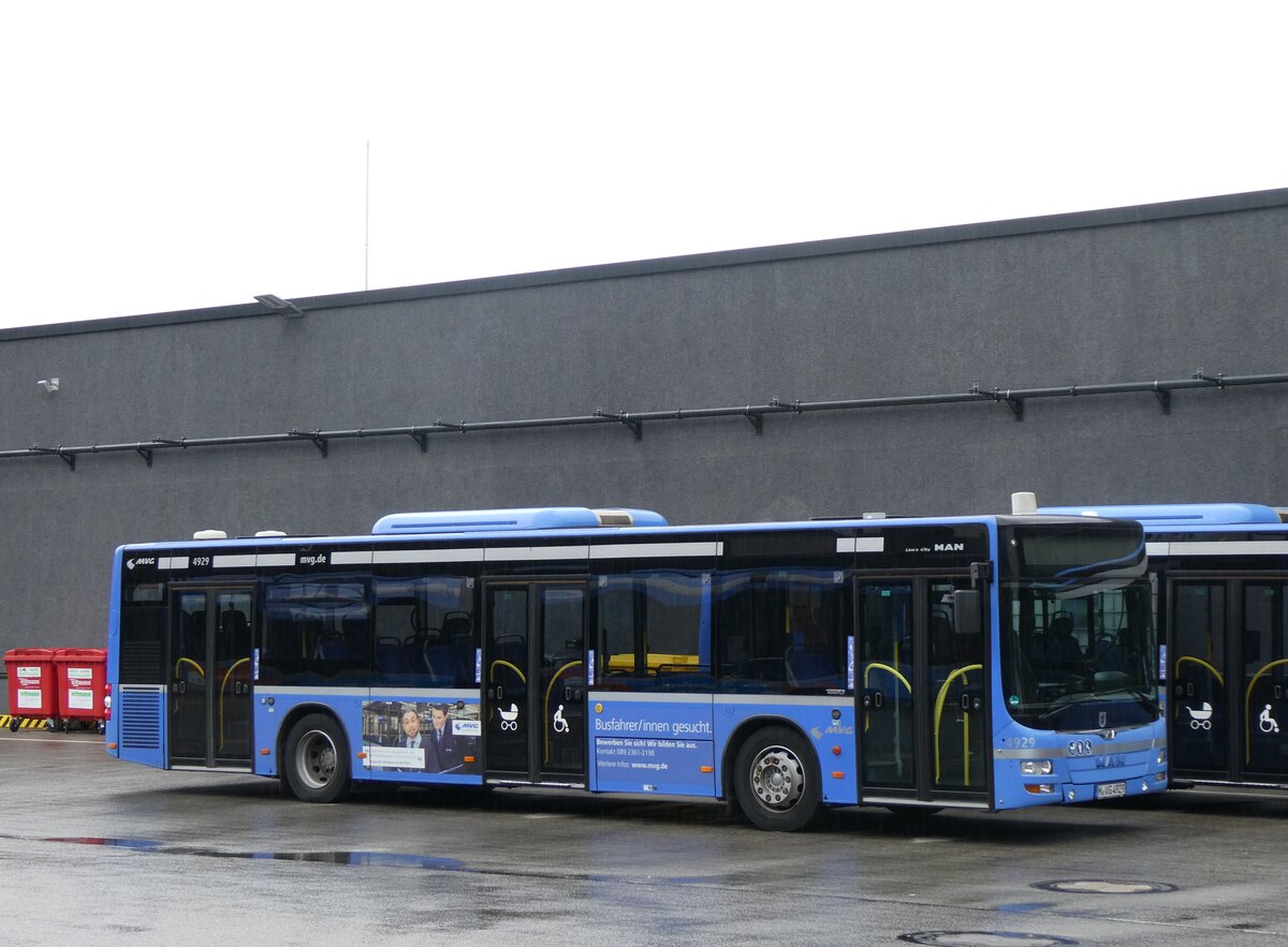 (261'458) - MVG M�nchen - Nr. 4929/M-VG 4929 - MAN am 15. April 2024 in Moosach, Betriebshof