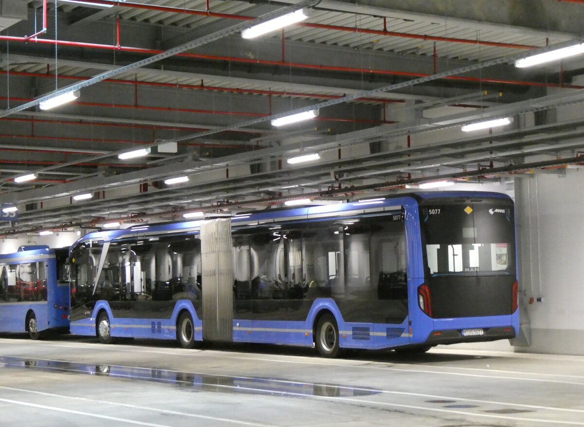 (261'474) - MVG M�nchen - Nr. 5077/M-VG 5077 - MAN am 15. April 2024 in Moosach, Betriebshof