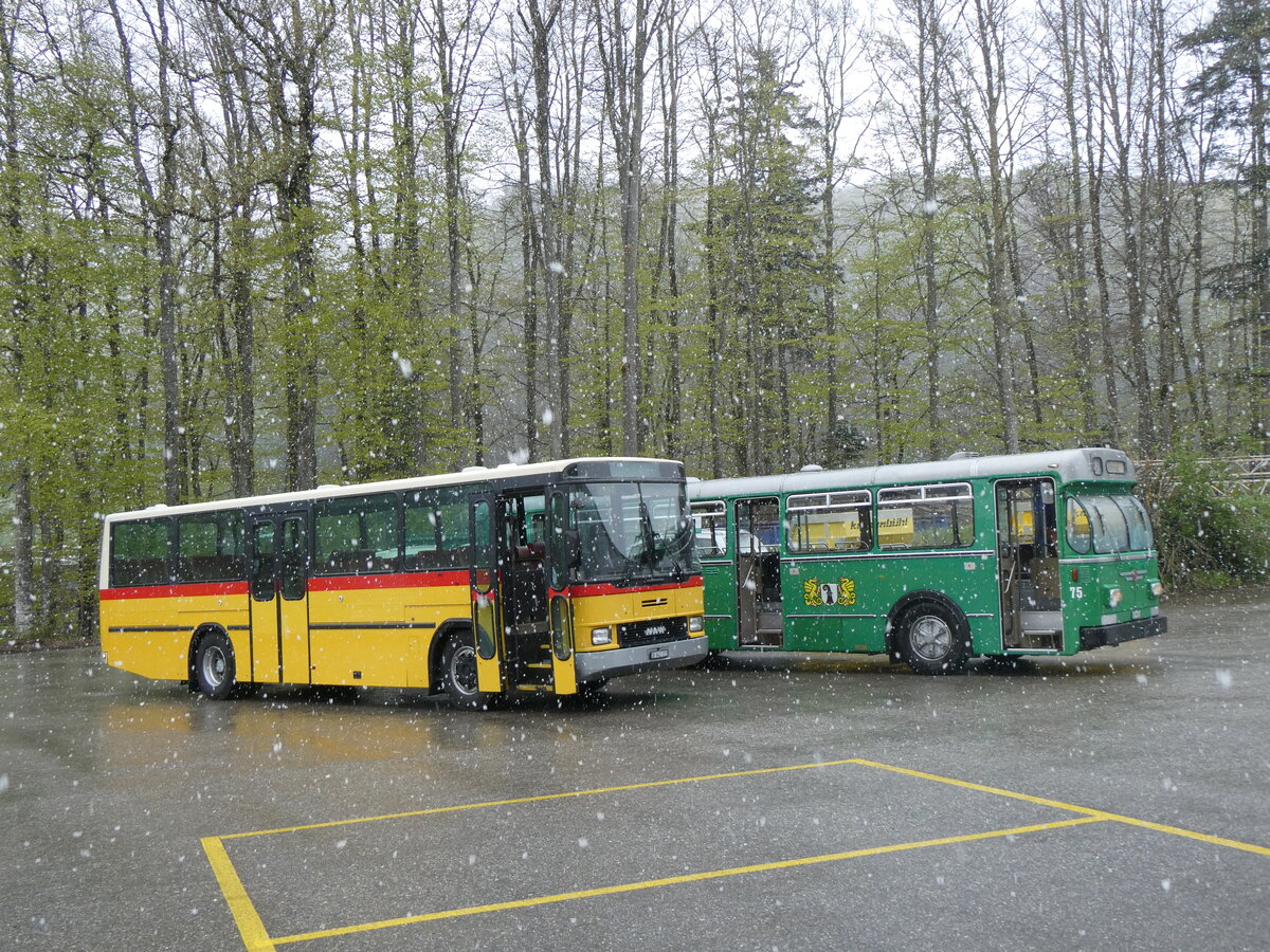 (261'597) - Widmer, Bern - BE 842'322 - NAW/Hess (ex Lombardi, Winterthur; ex Wohlgemuth, Hochwald PID 2208) am 21. April 2024 in Burgdorf, �kihof Ziegelgut