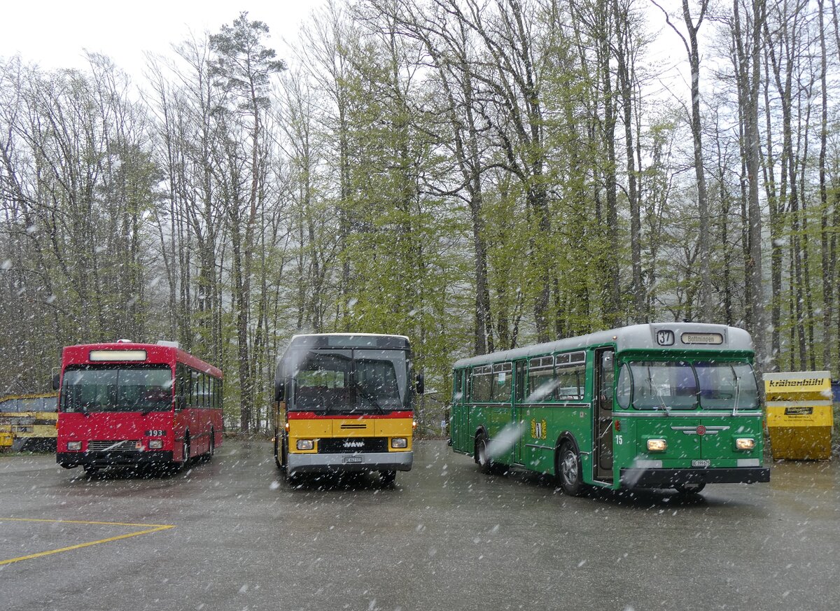 (261'607) - Bernmobil, Bern (SOB) - Nr. 193 - Volvo/Gangloff + Widmer, Bern - BE 842'322 - NAW/Hess (ex Lombardi, Winterthur; ex Wohlgemuth, Hochwald PID 2208) + BVB Basel (RWB) - Nr. 75/BE 399'675 - FBW/FHS am 21. April 2024 in Burgdorf, �kihof Ziegelgut