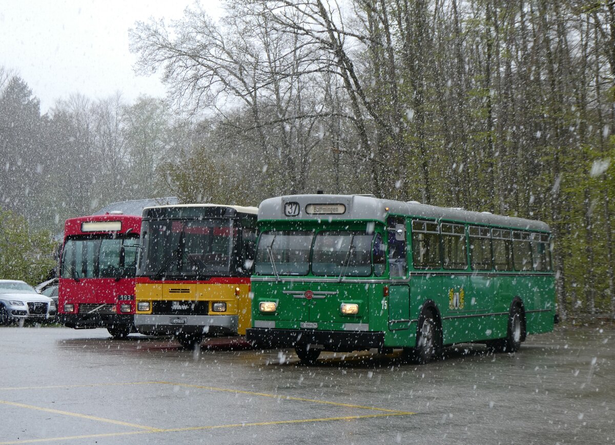 (261'609) - BVB Basel (RWB) - Nr. 75/BE 399'675 - FBW/FHS am 21. April 2024 in Burgdorf, �kihof Ziegelgut