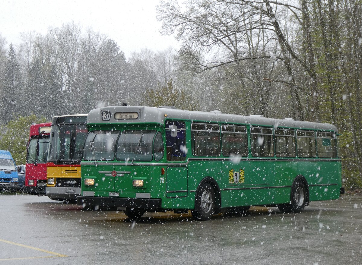 (261'610) - BVB Basel (RWB) - Nr. 75/BE 399'675 - FBW/FHS am 21. April 2024 in Burgdorf, �kihof Ziegelgut