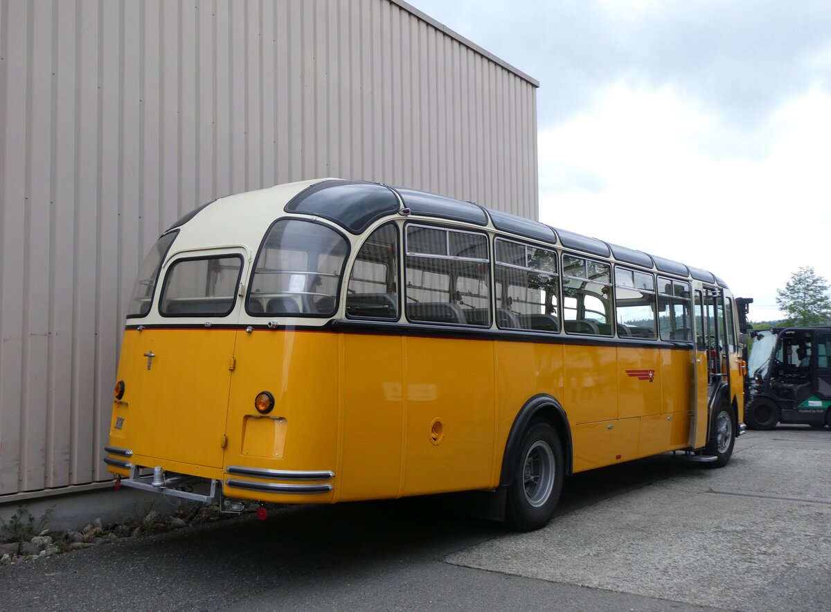 (261'948) - Wegm�ller, Attikon - FBW/Gangloff (ex P 24'037; ex P 21'537) am 4. Mai 2024 in Attikon, Wegm�ller