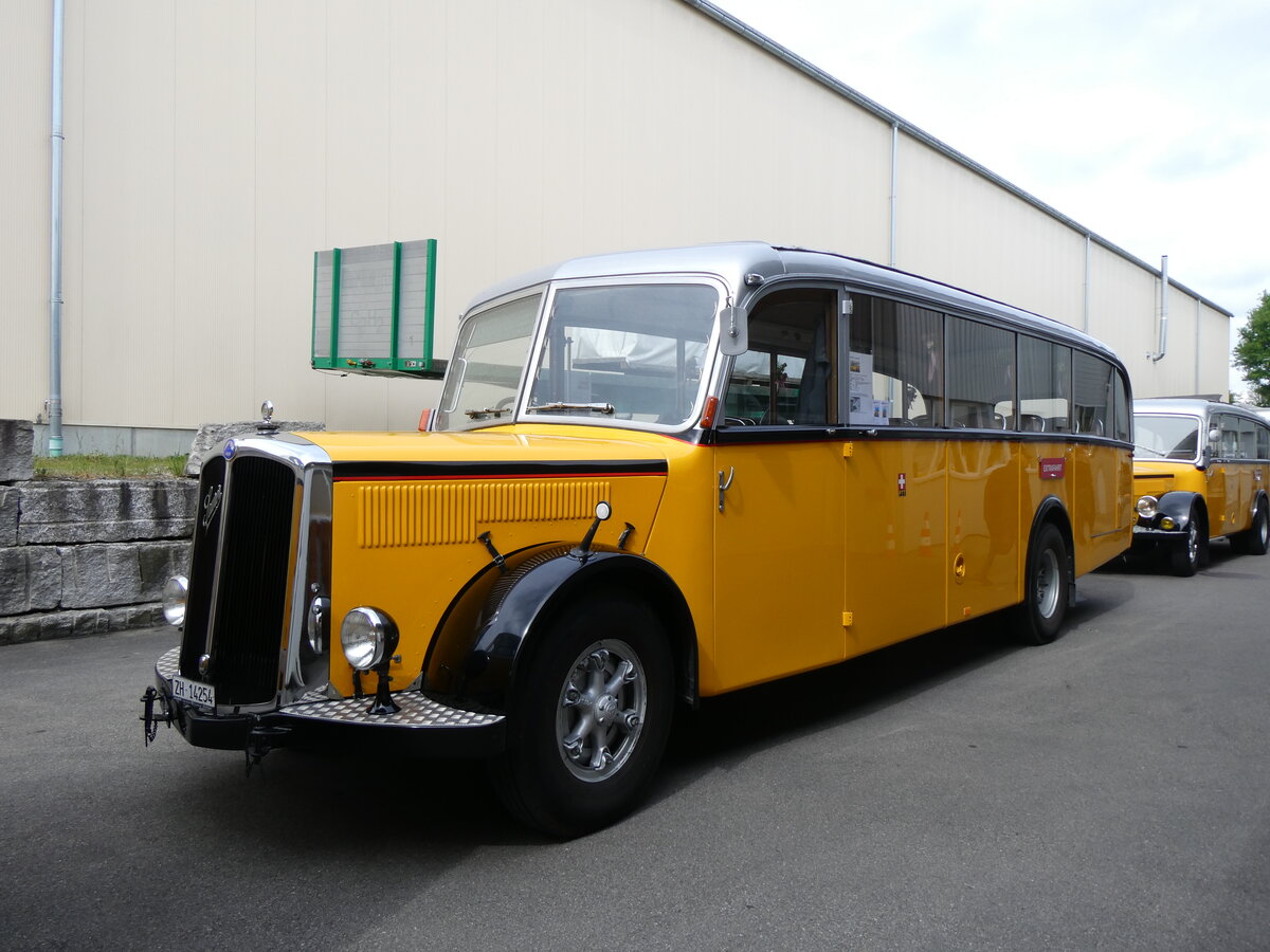 (262'005) - Goldexpress, Ossingen - ZH 14'254 - Saurer/R&J (ex P 23'066; ex P 2118) am 4. Mai 2024 in Attikon, Wegm�ller