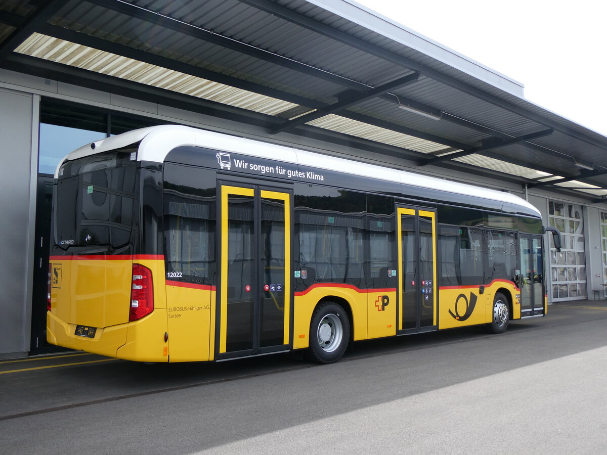(262'141) - H�fliger, Sursee - PID 12'022 - eMercedes am 4. Mai 2024 in Winterthur, Daimler Buses