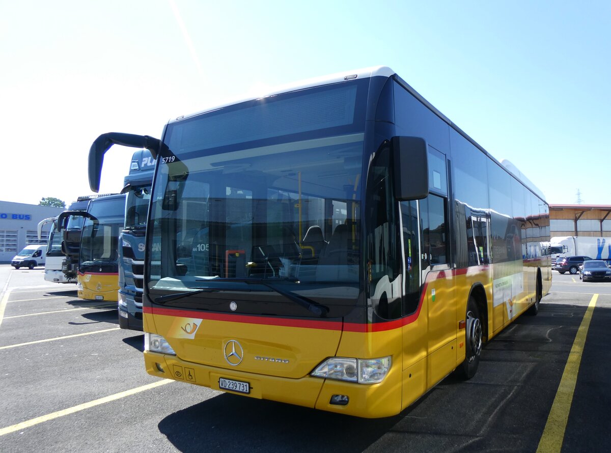 (262'276) - CarPostal Ouest - VD 239'731/PID 5719 - Mercedes (ex Faucherre, Moudon) am 11. Mai 2024 in Kerzers, Interbus