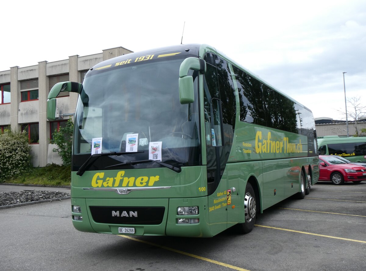 (263'311) - Gafner, Gwatt - Nr. 100/BE 26'288 - MAN (ex PostAuto Bern PID 10'654) am 1. Juni 2024 in Gwatt, Gafner