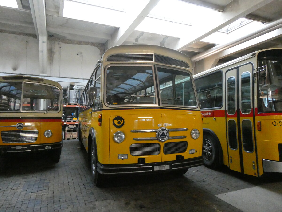 (264'044) - Oldtimer Club Saurer, Arbon - Saurer/Saurer (ex Ryffel, Z�rich; ex M+79'500; ex P 24'136; ex P 21'736) am 27. Juni 2024 in Arbon, Saurermuseum Depot