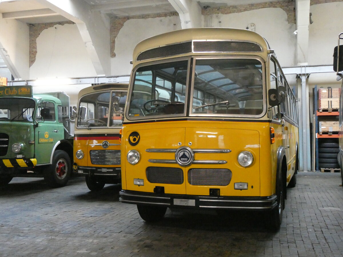 (264'046) - Oldtimer Club Saurer, Arbon - Saurer/Saurer (ex Ryffel, Z�rich; ex M+79'500; ex P 24'136; ex P 21'736) am 27. Juni 2024 in Arbon, Saurermuseum Depot