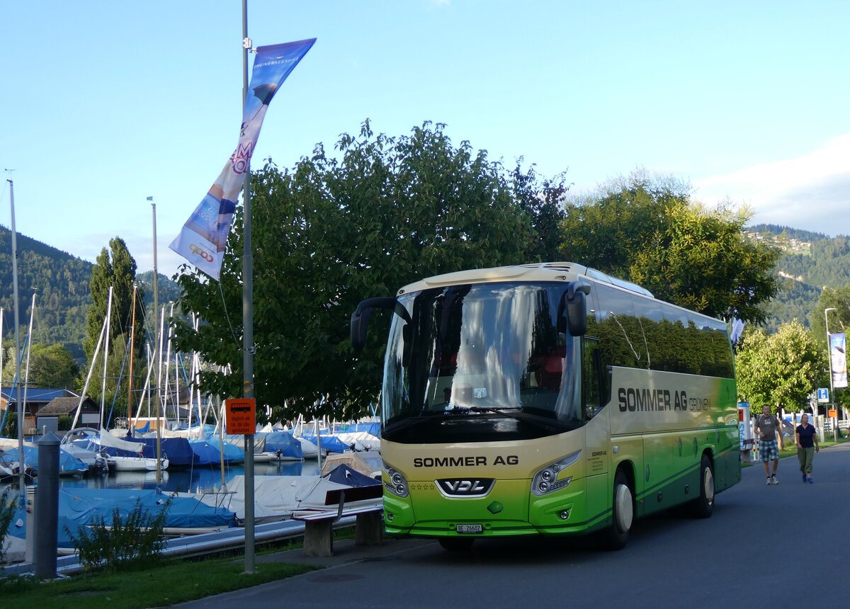 (264'790) - Sommer, Gr�nen - BE 26'602 - VDL am 13. Juli 2024 in Thun, Strandbad