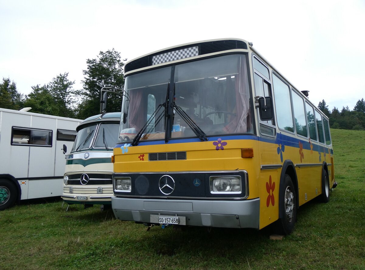 (265'794) - Schoch, Solothurn - SO 157'658 - Mercedes/T�scher (ex Reinhart, Selzach; ex Gessinger, Bad Ragaz) am 17. August 2024 in Neuhausen, Langriet